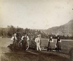 Dei har drive med lauving på Vasshus i nedre Suldal, og kjerra er fylt med lauvkjervar. Bildet er frå 1888.