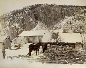 Vedkøyring med hest og slede på Kvestad i nedre Suldal ein vinterdag i 1888.