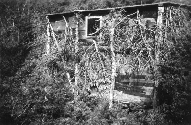 Den lille hytta i Eikjeskoro på Djuve i Åkrafjorden der Rabinowitz holdt seg skjult når det ble for utrygt nede ved fjorden.