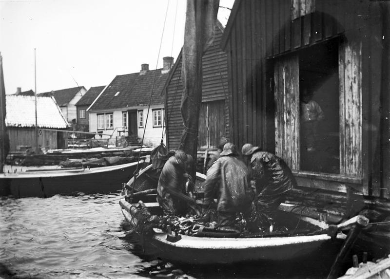  Båt med sildelast losses inn i Lars Ydstebøs sjøhus på Ydstebø, Kvitsøy. Foto: Stavanger Sjøfartsmuseum, ST.S 1983-057-0140. 